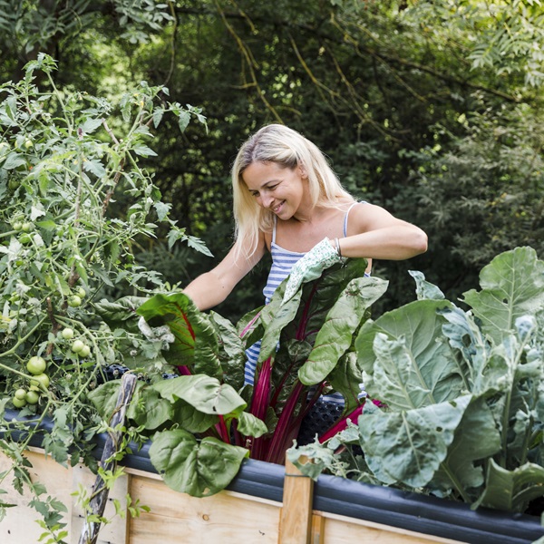 Garden Design With Raised Beds