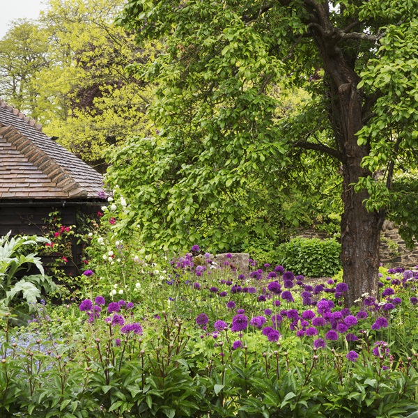 Native Plant Landscaping in MA