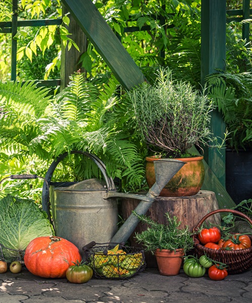 Planting a Vegetable Garden in Massachusetts Climate